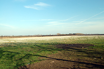 Looking from Potters Cross north-east March 2012